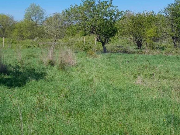 Парцел в с. Дюлево, Област Бургас - 70131 кв.м за 0 €/кв.м - Снимка #1