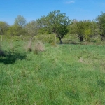 Парцел в с. Тънково, Област Бургас - 6000 кв.м за 11 €/кв.м - Снимка #1