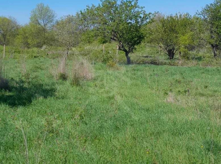 Парцел в с. Тънково, Област Бургас - 6000 кв.м за 11 €/кв.м - Снимка #1