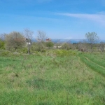 Парцел в с. Ясна поляна, Област Бургас - 556 кв.м за 78 €/кв.м - Снимка #1