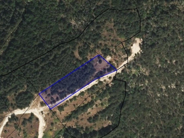 Земеделски имот в Асеновград -  кв.м за 5610 €/дка - Снимка #1