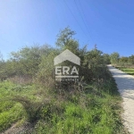 Парцел в с. Калиманци, Област Варна - 401 кв.м за 12 €/кв.м - Снимка #1