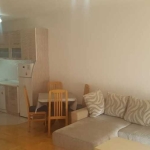 Дава се под наем Едностаен апартамент в Пловдив, Гагарин - 45 кв.м за 219.3 € - Снимка #1