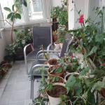 Дава се под наем Тристаен апартамент в Плевен, Идеален център - 65 кв.м за 178.5 € - Снимка #1