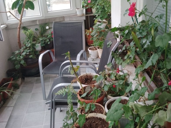 Дава се под наем Тристаен апартамент в Плевен, Идеален център - 65 кв.м за 178.5 € - Снимка #1