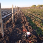 Земеделски имот в Ахелой -  кв.м за 10200 €/дка - Снимка #1