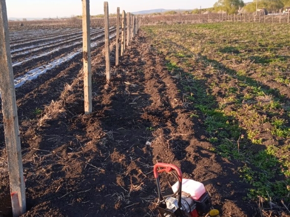 Земеделски имот в Ахелой -  кв.м за 10200 €/дка - Снимка #1