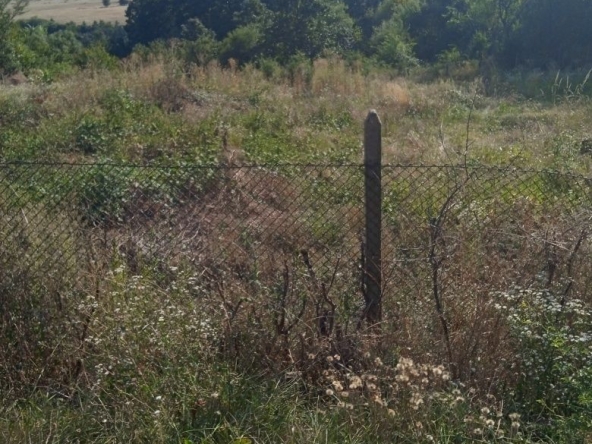 Парцел в с. Дреново, Област София-област - 852 кв.м за 17 €/кв.м - Снимка #1