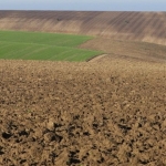 Земеделски имот в с. Стефан Караджа, Област Добрич -  кв.м за 121 €/дка - Снимка #1