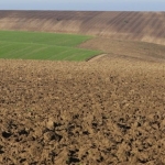 Земеделски имот в Нова Загора -  кв.м за 51 €/дка - Снимка #1