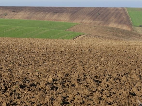 Земеделски имот в Нова Загора -  кв.м за 51 €/дка - Снимка #1