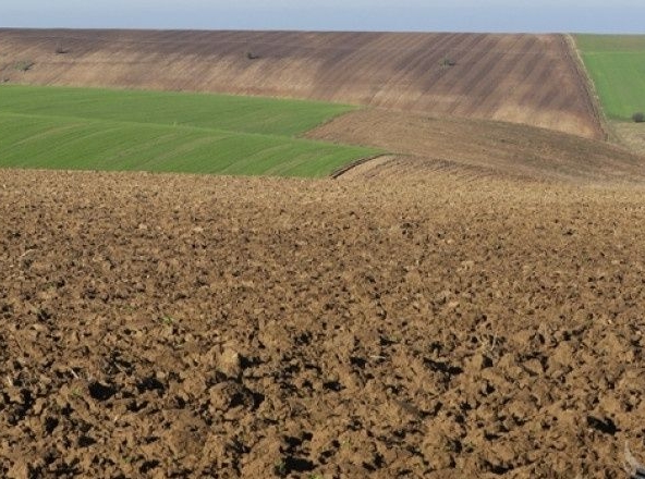 Земеделски имот в с. Калояново, Област Сливен -  кв.м за 765 €/дка - Снимка #1