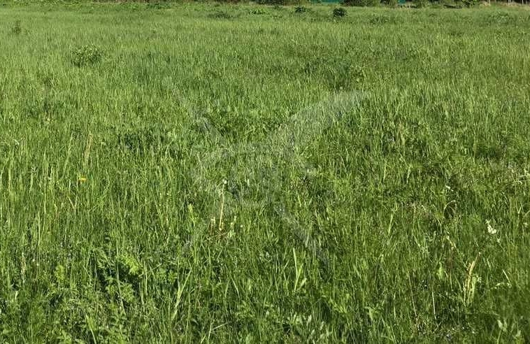 Парцел в с. Първенец, Област Пловдив - 1800 кв.м за 130 €/кв.м - Снимка #1