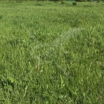 Промишлена сграда в с. Мътеница, Област Пловдив - 216 кв.м за 74 €/кв.м - Снимка #1