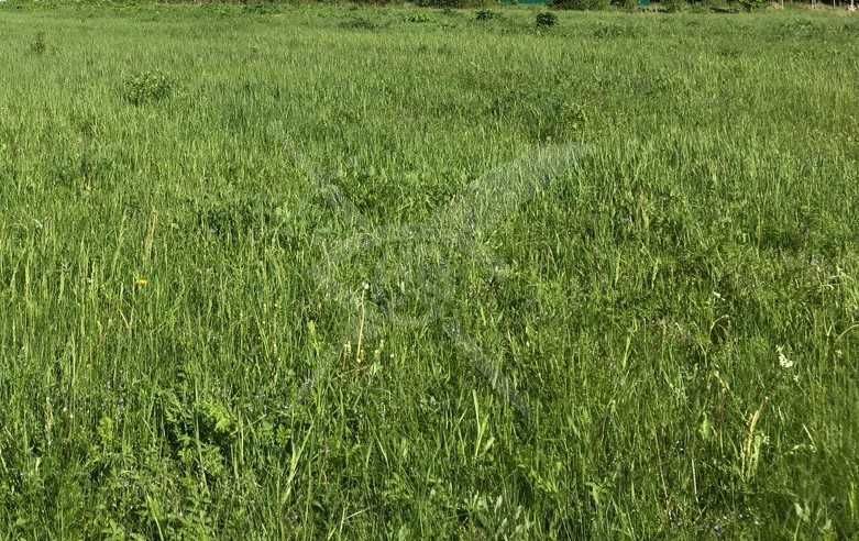 Парцел в с. Цалапица, Област Пловдив - 754 кв.м за 31 €/кв.м - Снимка #1