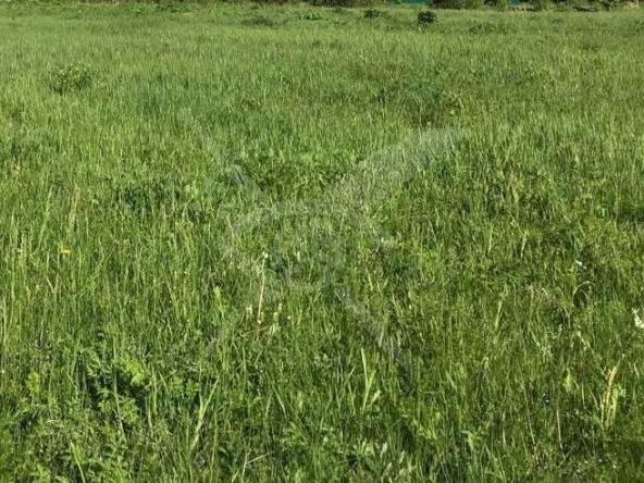 Парцел в с. Йоаким Груево, Област Пловдив - 670 кв.м за 56 €/кв.м - Снимка #1