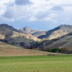 Земеделски имот в с. Доганово, Област София-област -  кв.м за 3160 €/дка - Снимка #1