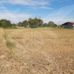 Парцел в Асеновград - 1500 кв.м за 11 €/кв.м - Снимка #1