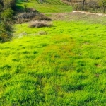 Парцел в Перник, Мошино - 824 кв.м за 79 €/кв.м - Снимка #1