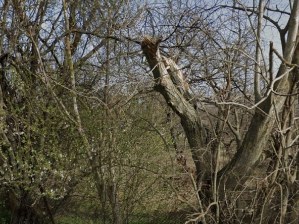 Парцел в с. Полковник Ламбриново, Област Силистра - 1107 кв.м за 11 €/кв.м - Снимка #1