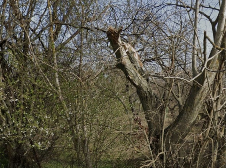 Парцел в с. Полковник Ламбриново, Област Силистра - 1107 кв.м за 11 €/кв.м - Снимка #1