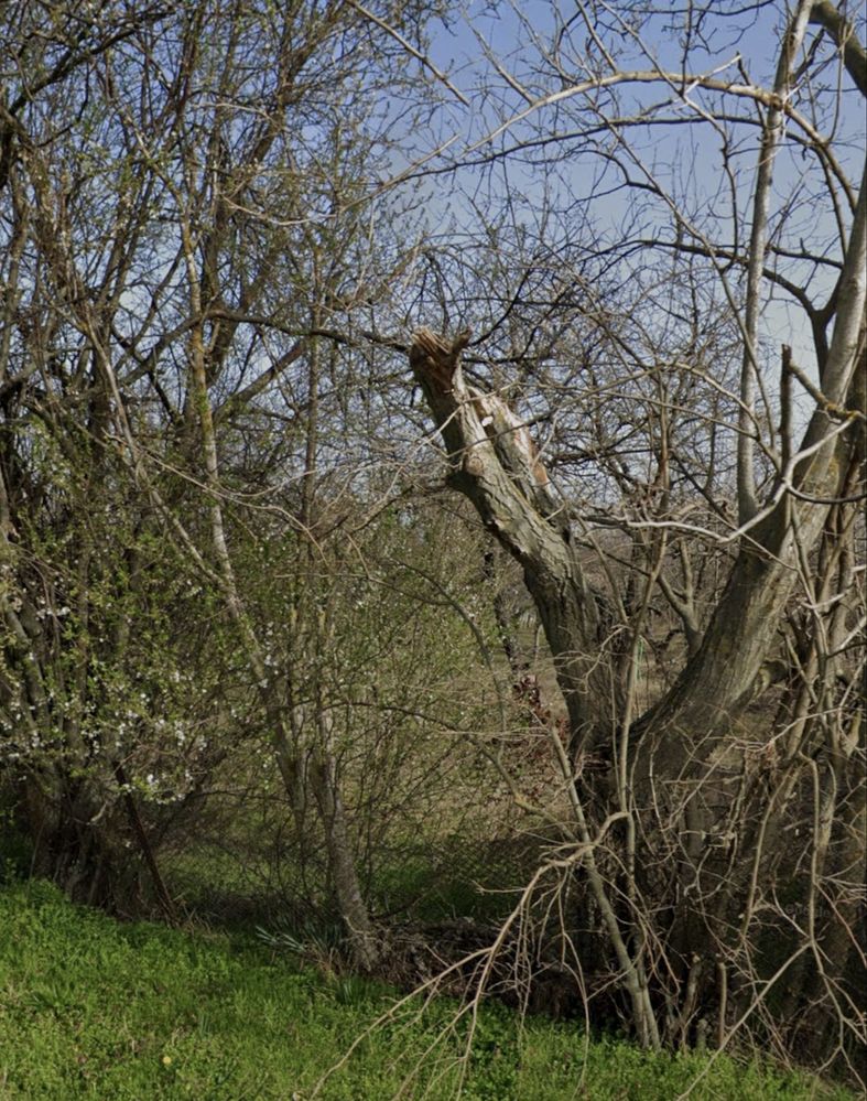 Парцел в с. Полковник Ламбриново, Област Силистра - 1107 кв.м за 11 €/кв.м - Снимка #1