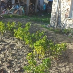 Къща в с. Илинденци, Област Благоевград - 540 кв.м за 94 €/кв.м - Снимка #1