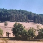 Парцел в Велинград - 10000 кв.м за 14 €/кв.м - Снимка #1