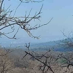 Парцел в Варна, Чаталджа - 1000 кв.м за 8 €/кв.м - Снимка #1