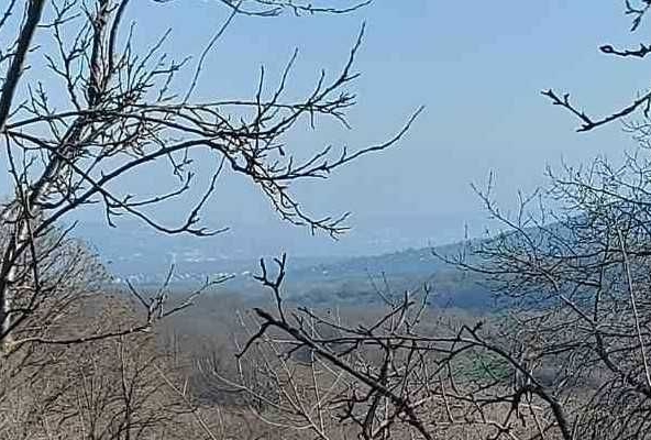 Парцел в Варна, Чаталджа - 1000 кв.м за 8 €/кв.м - Снимка #1