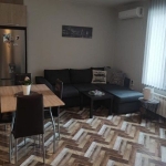 Дава се под наем Двустаен апартамент в София, Витоша - 76 кв.м за 408 € - Снимка #1