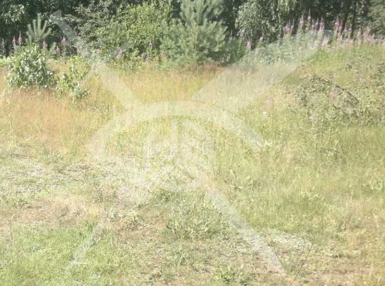 Парцел в Пловдив, Беломорски - 336 кв.м за 92 €/кв.м - Снимка #1