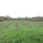 Дава се под наем Земеделски имот в Шумен, Център -  кв.м за 102 € - Снимка #1