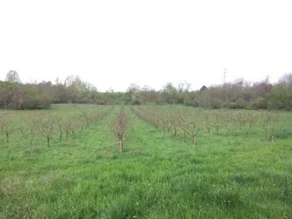 Дава се под наем Земеделски имот в Шумен, Център -  кв.м за 102 € - Снимка #1