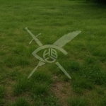 Парцел в Пловдив, Западен - 6793 кв.м за 36 €/кв.м - Снимка #1