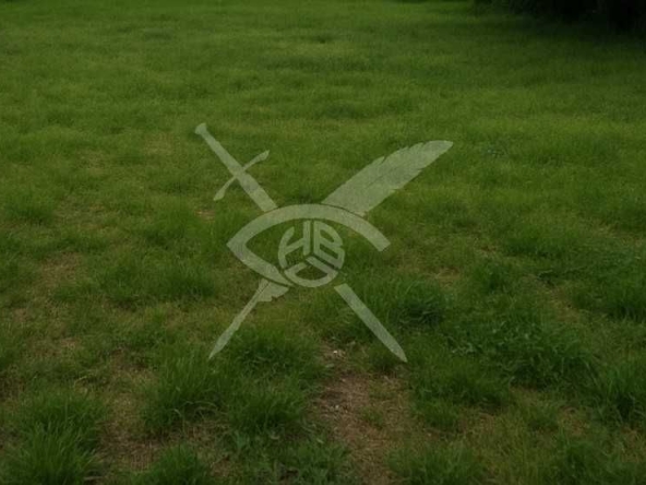 Парцел в Пловдив, Западен - 6793 кв.м за 36 €/кв.м - Снимка #1