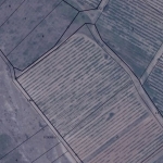 Земеделски имот в Сандански -  кв.м за 1130 €/дка - Снимка #1