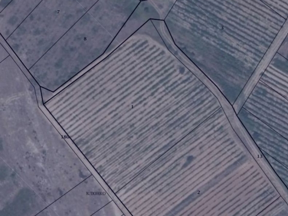 Земеделски имот в Сандански -  кв.м за 1130 €/дка - Снимка #1