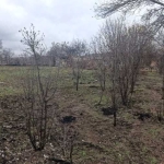 Парцел в с. Черничево, Област Пловдив - 900 кв.м за 10 €/кв.м - Снимка #1