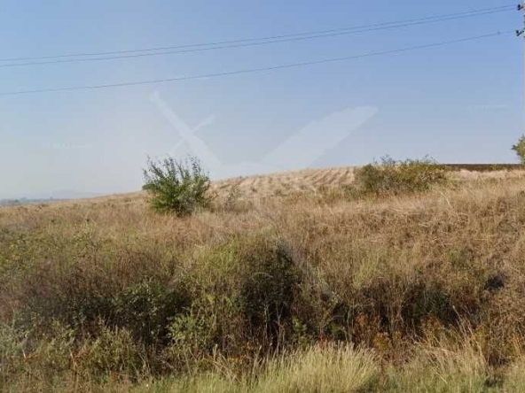 Парцел в с. Емона, Област Бургас - 8998 кв.м за 26 €/кв.м - Снимка #1