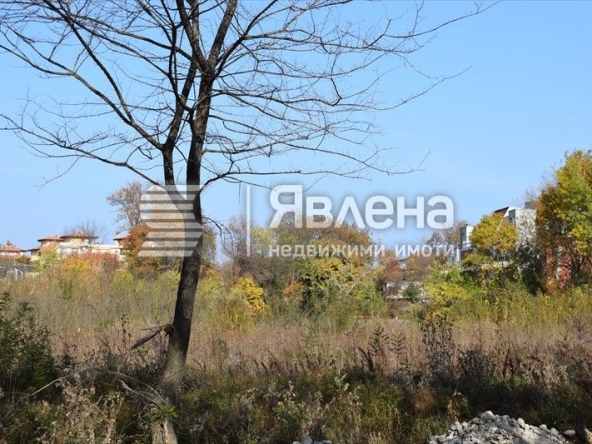 Парцел в с. Лозенец, Област Бургас - 1083 кв.м за 131 €/кв.м - Снимка #1