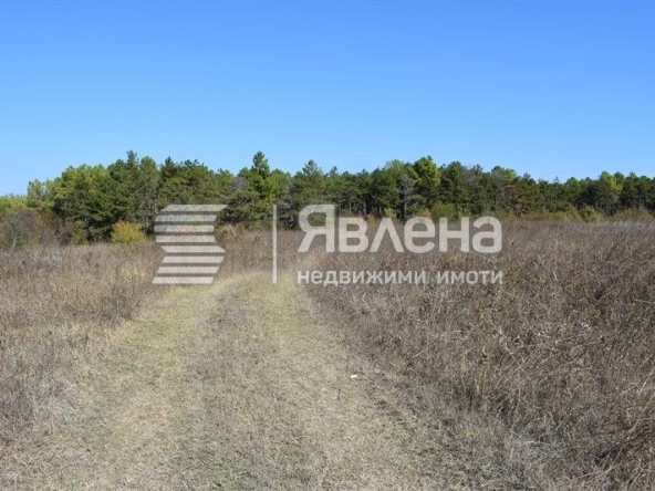 Парцел в Царево - 4000 кв.м за 15 €/кв.м - Снимка #1