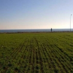 Парцел в Ахелой - 1997 кв.м за 82 €/кв.м - Снимка #1