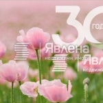 Парцел в с. Рупките, Област Стара Загора - 3012 кв.м за 17 €/кв.м - Снимка #1