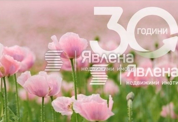 Парцел в с. Рупките, Област Стара Загора - 3012 кв.м за 17 €/кв.м - Снимка #1