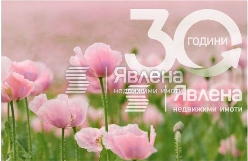 Парцел в с. Рупките, Област Стара Загора - 3012 кв.м за 17 €/кв.м - Снимка #1