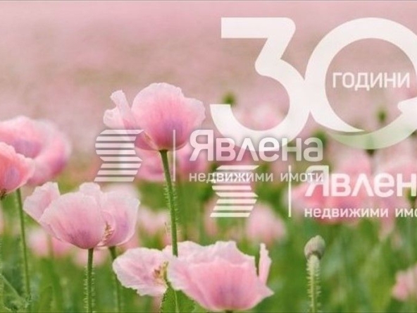 Парцел в с. Рупките, Област Стара Загора - 3012 кв.м за 34 €/кв.м - Снимка #1