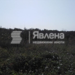 Парцел в с. Ягодово, Област Пловдив - 11313 кв.м за 10 €/кв.м - Снимка #1