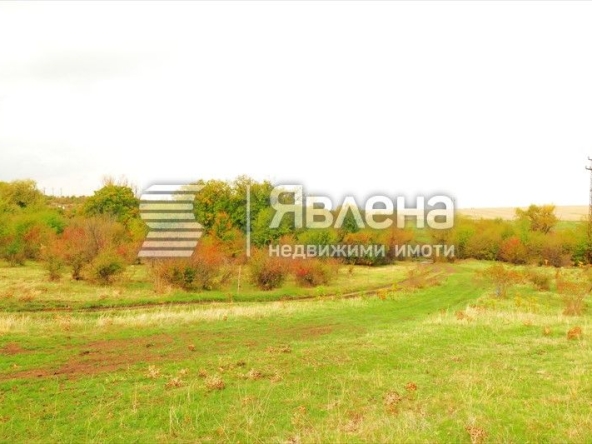 Земеделски имот в с. Иваняне, Област София-град -  кв.м за 24 €/дка - Снимка #1