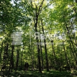 Земеделски имот в Созопол -  кв.м за 75 €/дка - Снимка #1